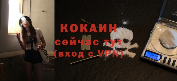 PSILOCYBIN Верея