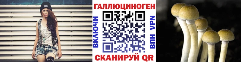 где продают   darknet какой сайт  ссылка на мегу зеркало  Галлюциногенные грибы мицелий  Люберцы 